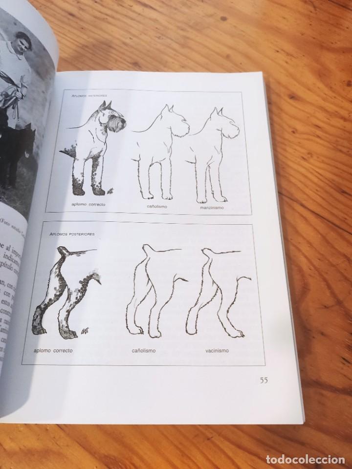 Libros de segunda mano: LOS SCHNAUZER. BONANNO Fabrizio. Editorial de Vecchi. - Foto 8
