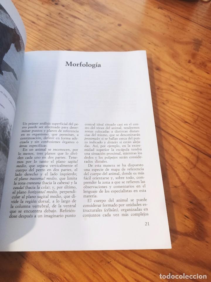 Libros de segunda mano: LOS SCHNAUZER. BONANNO Fabrizio. Editorial de Vecchi. - Foto 9