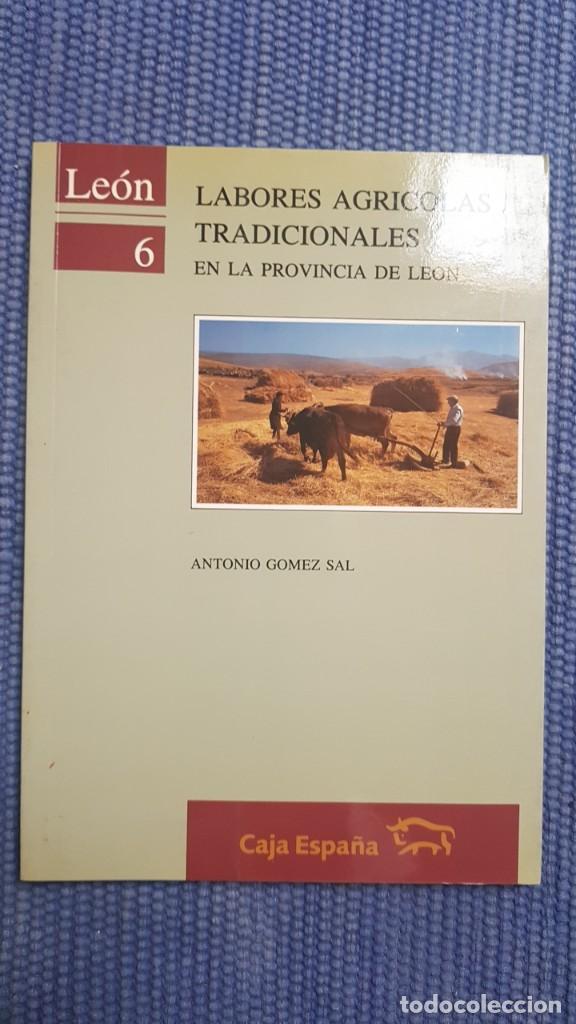 Libros de segunda mano: Labores agr&iacute;colas tradicionales en la Provincia de Le&oacute;n - Foto 1