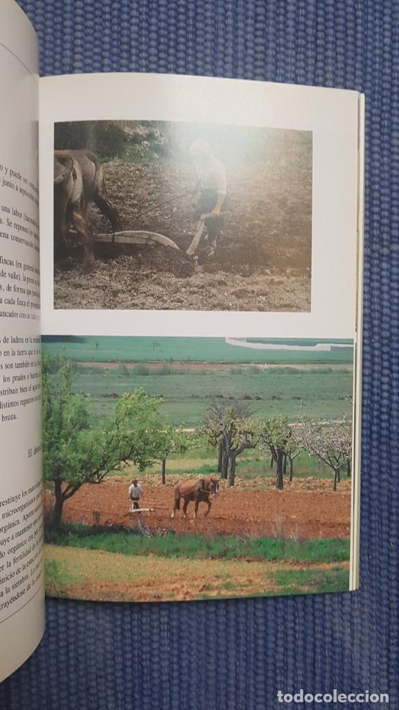 Libros de segunda mano: Labores agr&iacute;colas tradicionales en la Provincia de Le&oacute;n - Foto 2