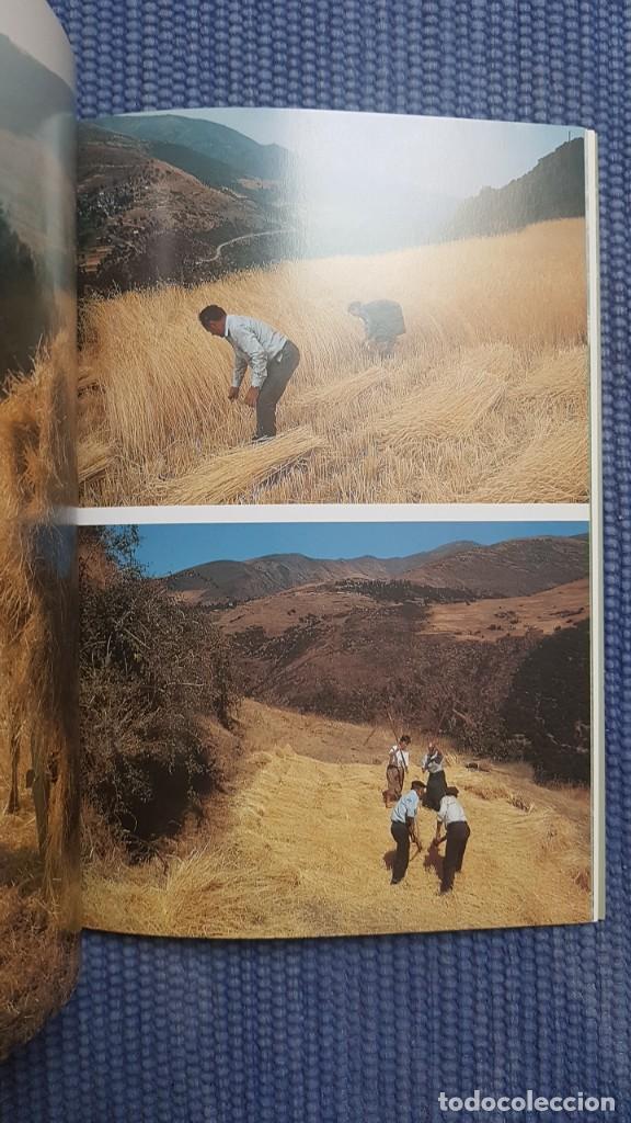 Libros de segunda mano: Labores agr&iacute;colas tradicionales en la Provincia de Le&oacute;n - Foto 3
