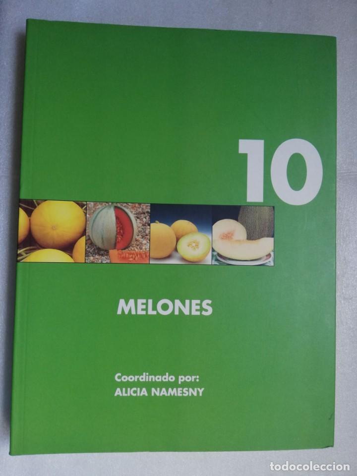 Libros de segunda mano: MELONES - ALICIA NAMESNY - Foto 1