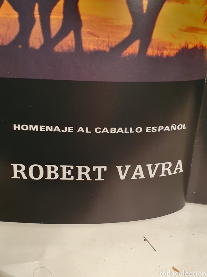 Libros de segunda mano: EL NOBLE BRUTO. ROBERT VAVRA. HOMENAJE AL CABALLO ESPA&Ntilde;OL. - Foto 3