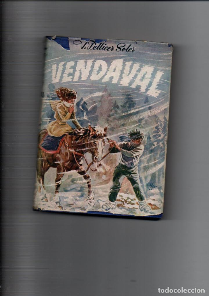 Libros de segunda mano: VENDAVAL. VICENTE PELLICER SOLER, 1&ordf; EDICION 1950 - Foto 1