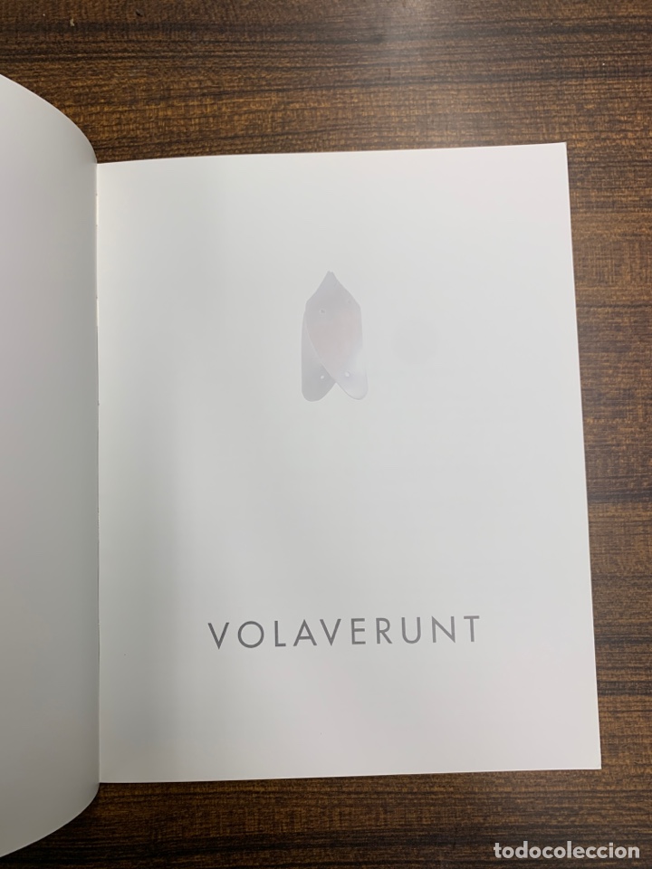 Libros de segunda mano: Cam&iacute;. Volaverunt. - Foto 2