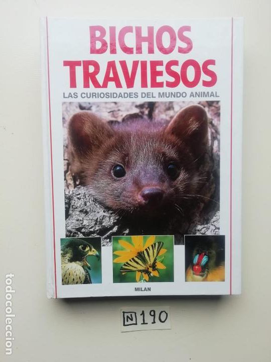 Libros de segunda mano: Bichos traviesos - Foto 1
