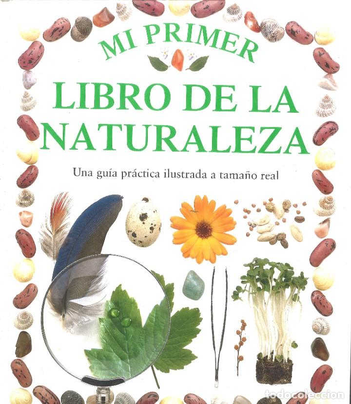 Libros de segunda mano: Mi primer libro de la naturaleza. Editorial Molino - Foto 1