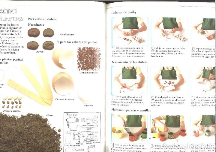 Libros de segunda mano: Mi primer libro de la naturaleza. Editorial Molino - Foto 3