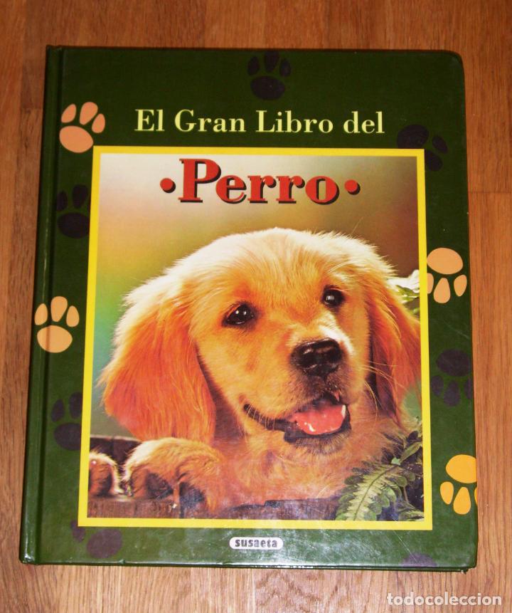 Libros de segunda mano: EL GRAN LIBRO DEL PERRO / pr&oacute;logo de Charles Cruft. - Susaeta - Foto 1
