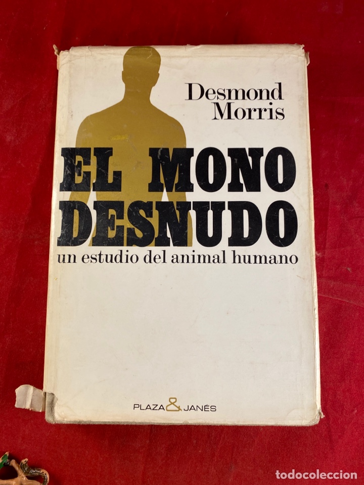 Libros de segunda mano: El mono desnudo - Foto 1