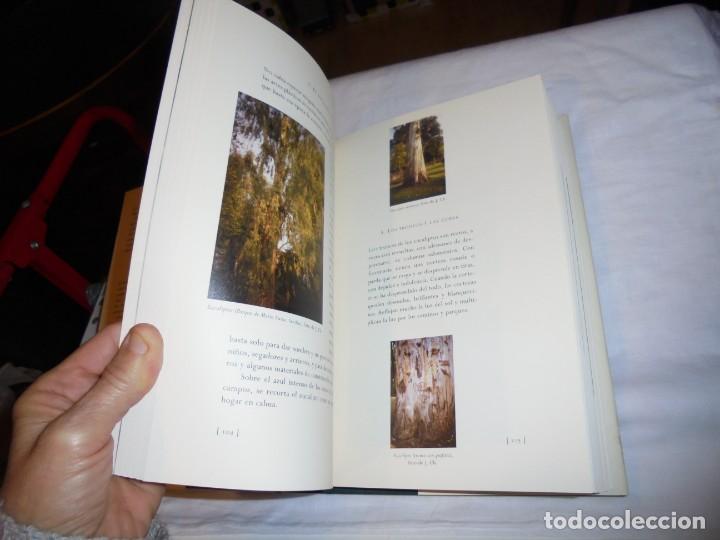 Libros de segunda mano: LA DANZA DE LOS ARBOLES.JACINTO CHOZA.THEMATA 2007 - Foto 8