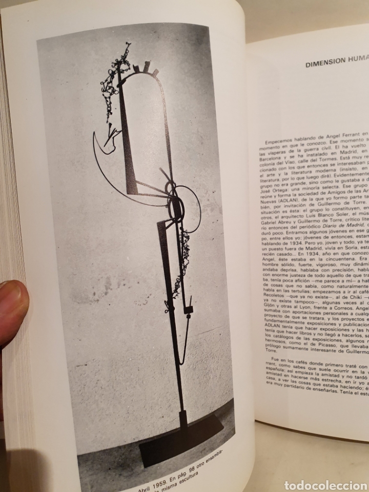 Libros de segunda mano: ANGEL FERRANT. PALACIO DE CRISTAL. MADRID 1983. - Foto 5
