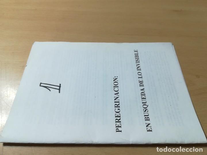 Libros de segunda mano: PEREGRINACION EN BUSCA DE LO INVISIBLE 1 / / / Y + 206 - Foto 1