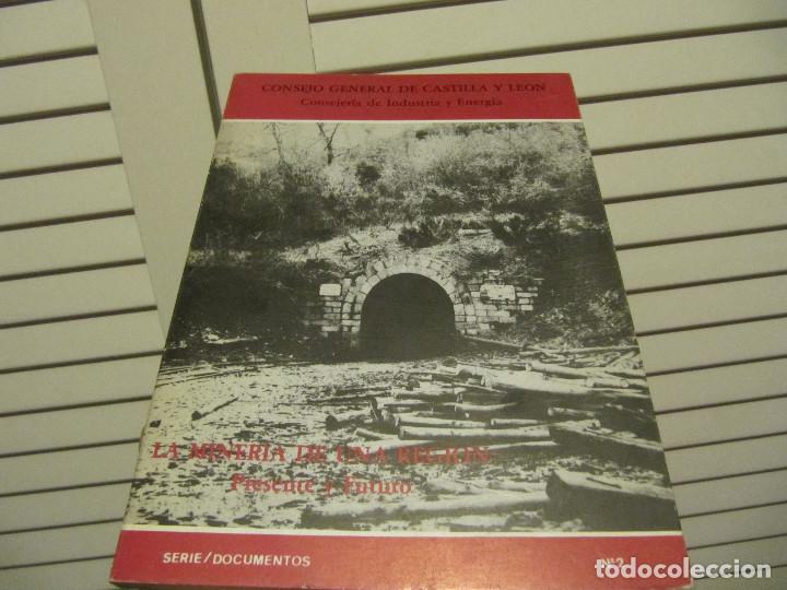 Libros de segunda mano: LA MINER&Iacute;A DE UNA REGI&Oacute;N: PRESENTE Y FUTURO 1979-CONSEJO GENERAL DE CASTILLA Y LEON