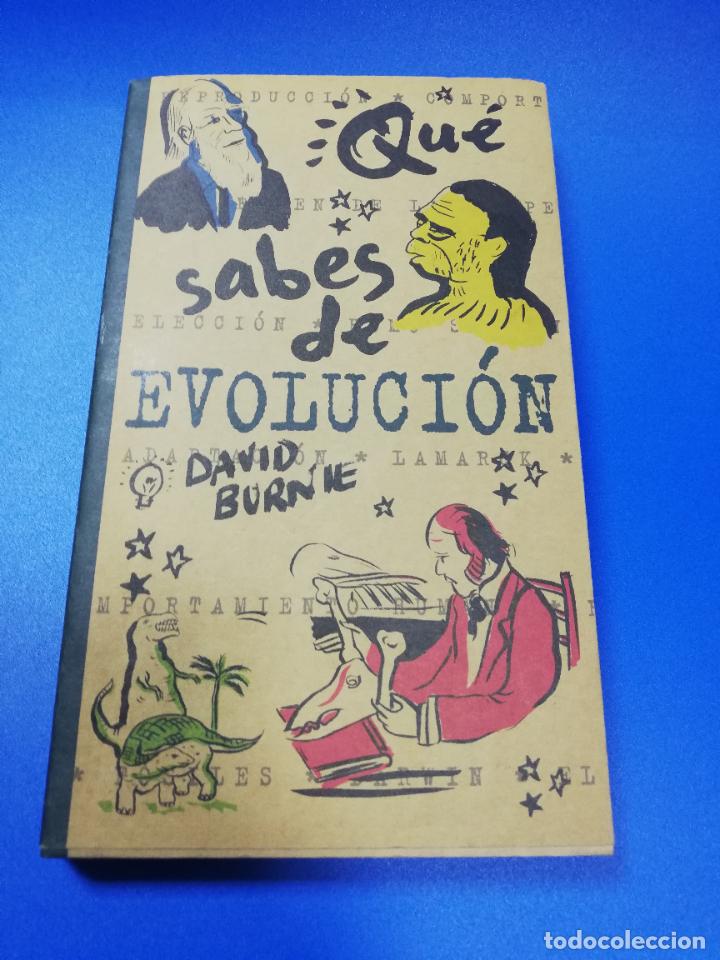 Libros de segunda mano: QUE SABES DE EVOLUCION. DAVID BURNIE. 2000. - Foto 1