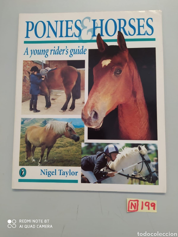 Libros de segunda mano: Ponies Horses - Foto 1