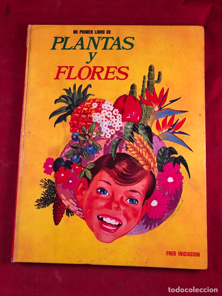 Libros de segunda mano: PLANTAS Y FLORES - Foto 1