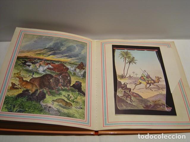 Libros de segunda mano: EL GRAN ZOO - DIORAMAS - MONTENA 1981 - Foto 7