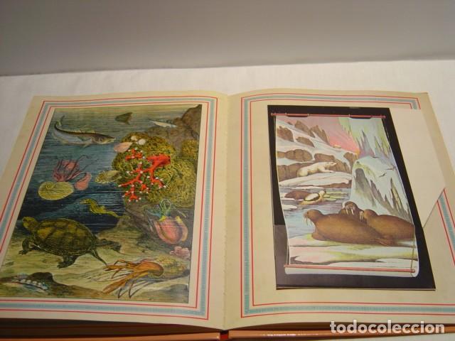 Libros de segunda mano: EL GRAN ZOO - DIORAMAS - MONTENA 1981 - Foto 9