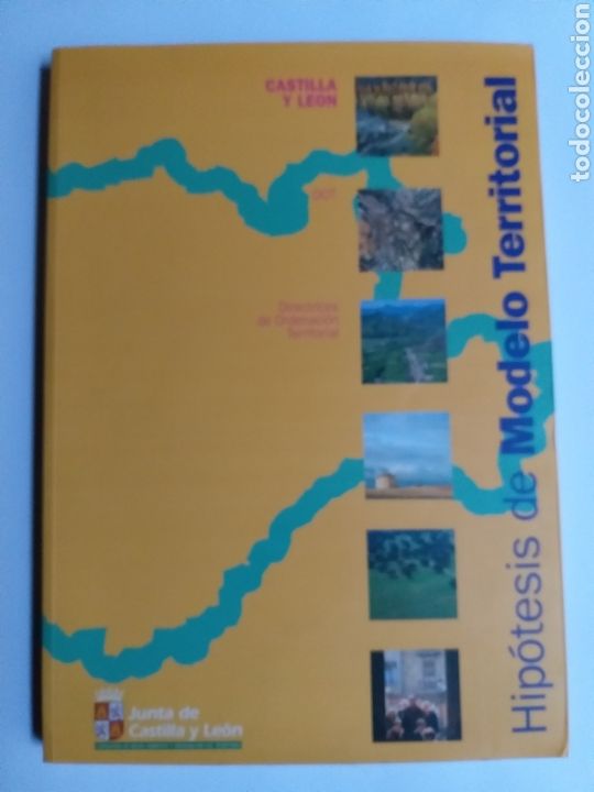 Libros de segunda mano: Hip&oacute;tesis de modelo territorial Castilla y Le&oacute;n. Directrices de Ordenaci&oacute;n Territorial