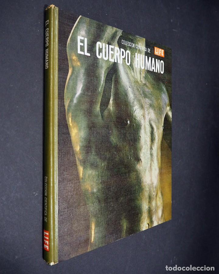 Libros de segunda mano: El cuerpo humano. Colecci&oacute;n cientifica Life. Alan E. Nourse. Offset Multicolor, S.A. 1967 - Foto 1