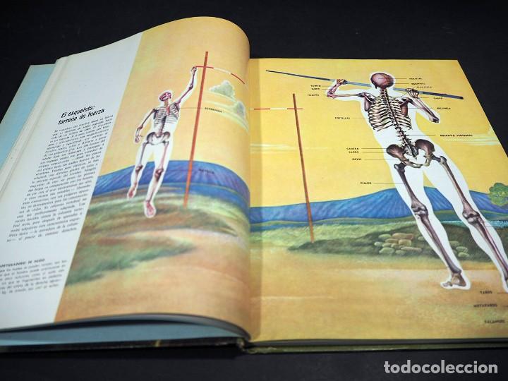Libros de segunda mano: El cuerpo humano. Colecci&oacute;n cientifica Life. Alan E. Nourse. Offset Multicolor, S.A. 1967 - Foto 2