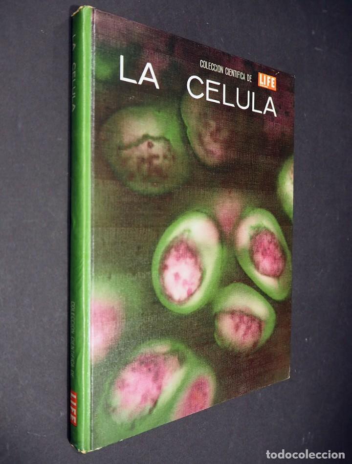 Libros de segunda mano: La c&eacute;lula. Colecci&oacute;n cientifica Life. Jonh Pfeiffer. Offset Multicolor, S.A. 1967 - Foto 1