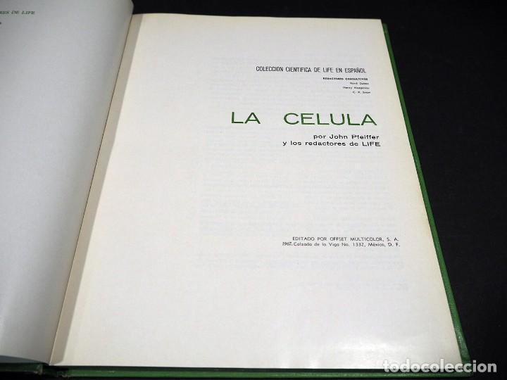Libros de segunda mano: La c&eacute;lula. Colecci&oacute;n cientifica Life. Jonh Pfeiffer. Offset Multicolor, S.A. 1967 - Foto 2