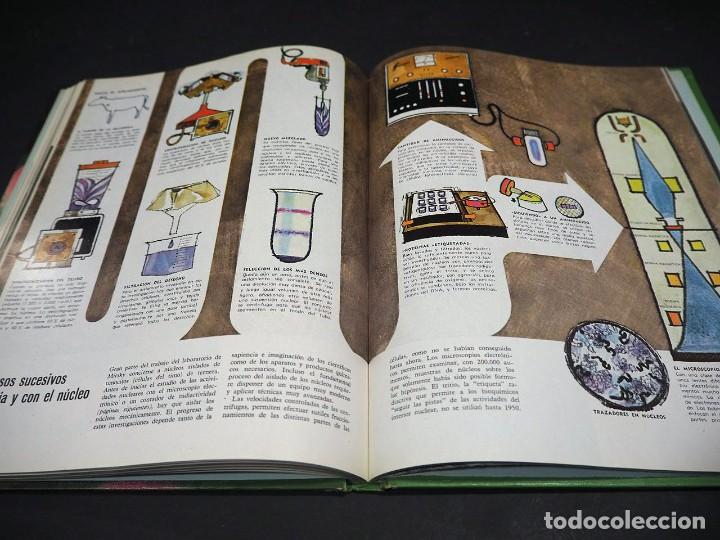 Libros de segunda mano: La c&eacute;lula. Colecci&oacute;n cientifica Life. Jonh Pfeiffer. Offset Multicolor, S.A. 1967 - Foto 4