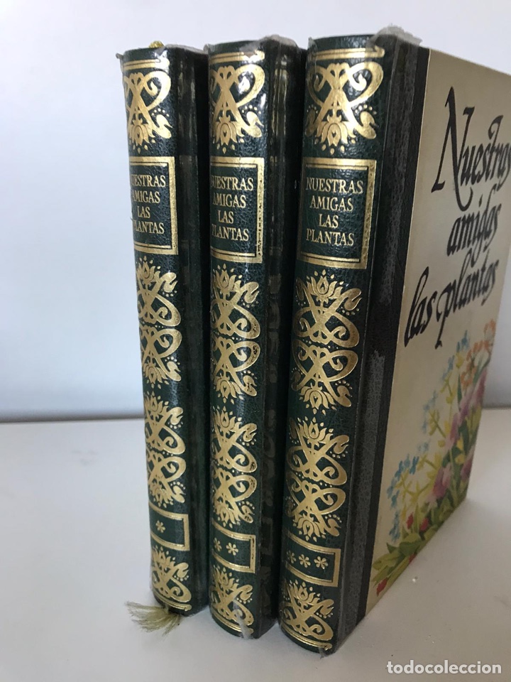 Libros de segunda mano: Colecci&oacute;n nuestras amigas las plantas - Foto 2