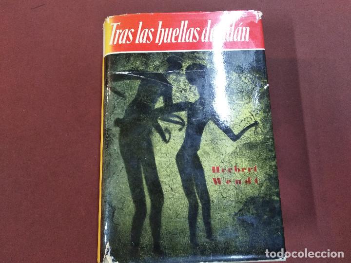 Libros de segunda mano: tras las huellas de ad&aacute;n - herbert wendt - editorial noguer - ACB - Foto 1