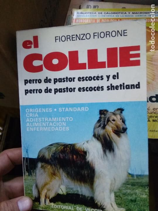 Libros de segunda mano: El collie, Fiorenzo Fiorone. L.22465 - Foto 1