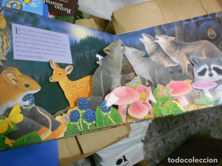 Libros de segunda mano: SONIDOS DE LA NOCHE - SONIDOS DE ANIMALES - TRIDIMENSIONAL - CG7 - Foto 2