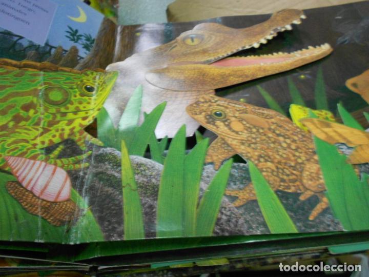 Libros de segunda mano: SONIDOS DE LA NOCHE - SONIDOS DE ANIMALES - TRIDIMENSIONAL - CG7 - Foto 3