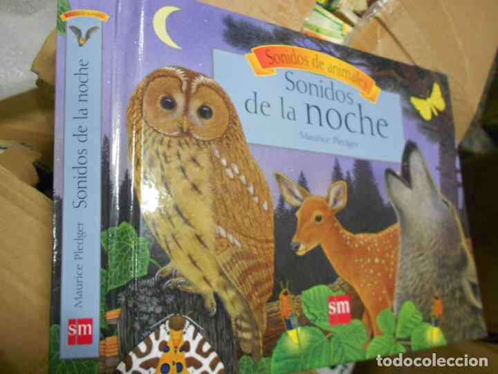Libros de segunda mano: SONIDOS DE LA NOCHE - SONIDOS DE ANIMALES - TRIDIMENSIONAL - CG7 - Foto 1