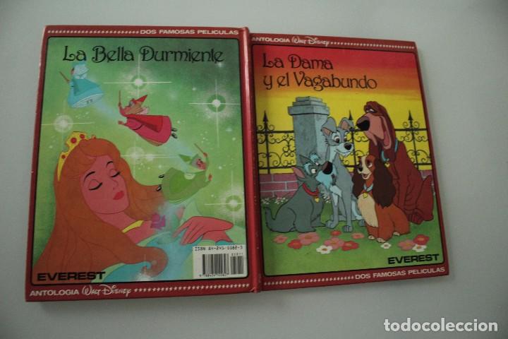 Libros de segunda mano: LA BELLA DURMIENTE - LA DAMA Y EL VAGABUNDO DISNEY - Foto 1