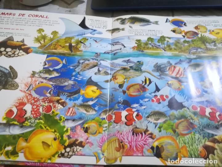 Libros de segunda mano: Busca els animals aqu&agrave;tics - en catal&agrave; - Foto 5