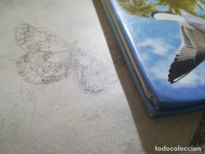 Libros de segunda mano: Busca els animals aqu&agrave;tics - en catal&agrave; - Foto 9