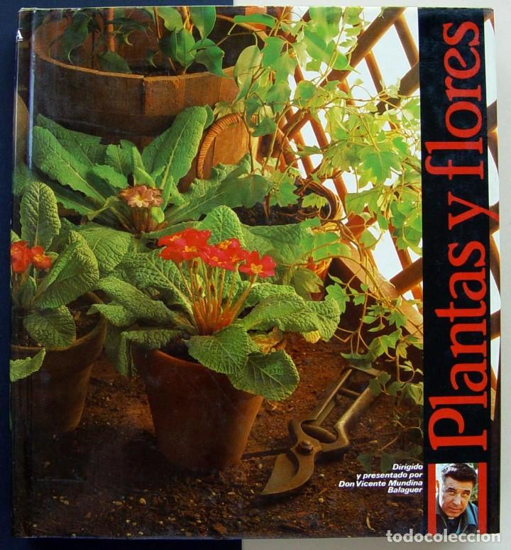 Libros de segunda mano: PLANTAS Y FLORES - Foto 1