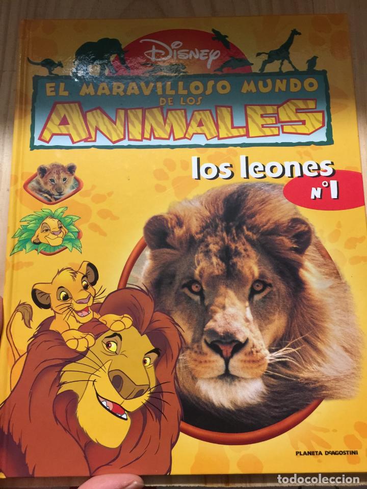 Libri di seconda mano: El Maravilloso mundo de los animales n&ordm; 1: Los Leones.