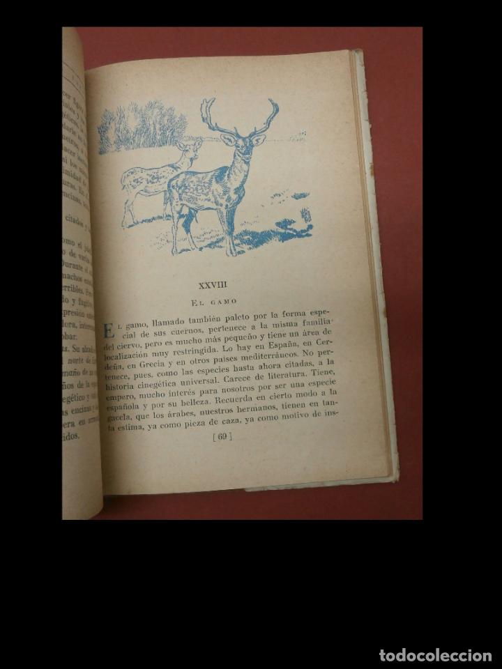 Libros de segunda mano: Estampas cinegeticas espa&ntilde;olas. Juan Cazador - Foto 2