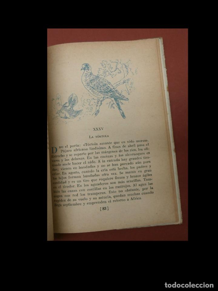 Libros de segunda mano: Estampas cinegeticas espa&ntilde;olas. Juan Cazador - Foto 3