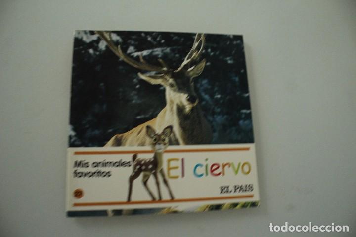 Libros de segunda mano: MIS ANIMALES FAVORITOS EL CIERVO - Foto 1