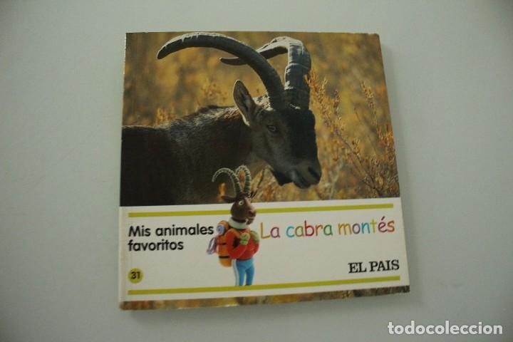 Libros de segunda mano: MIS ANIMALES FAVORITOS LA CABRA MONTES - Foto 1