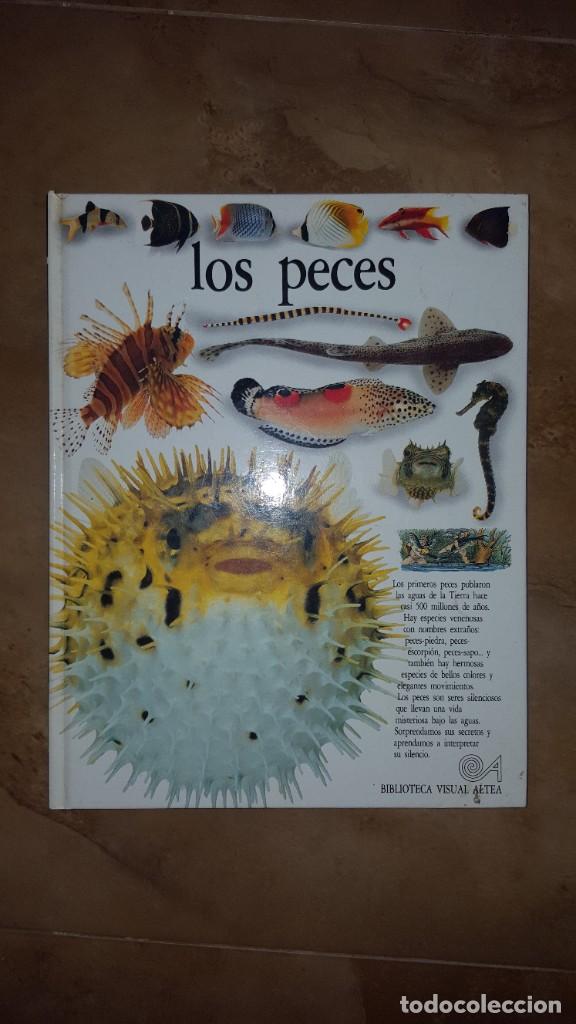 Libros de segunda mano: Los peces - guia educativa - Foto 1