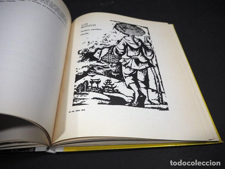 Libros de segunda mano: El Arco Iris. M&ordf; Isabel Molina. Ilustraciones de Perell&oacute;n. Doncel 1969 - Foto 7