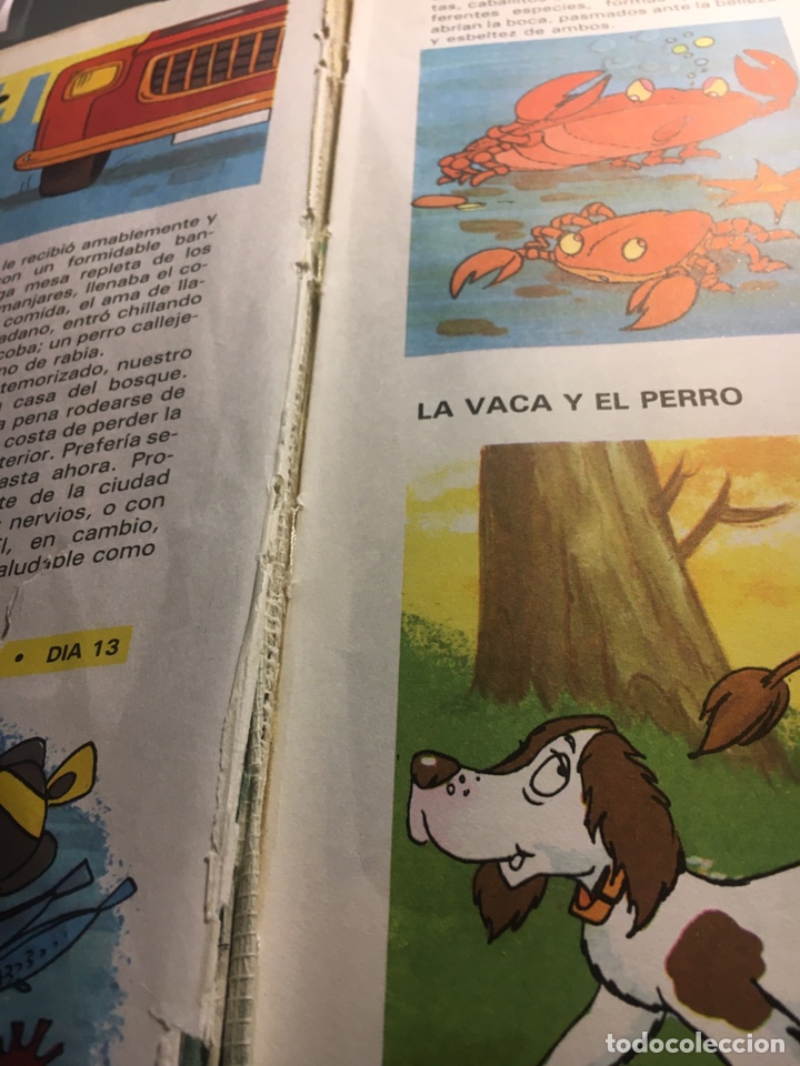 Libros de segunda mano: UNA F&Aacute;BULA PARA CADA D&Iacute;A - SUSAETA EDICIONES - Foto 5