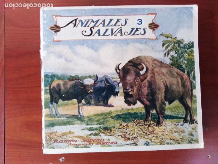 Libros de segunda mano: Animales salvajes. 3 - Foto 1