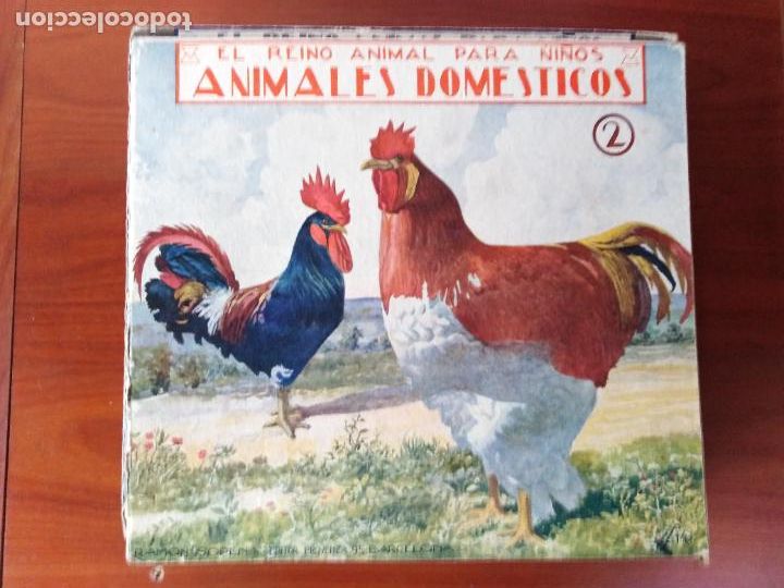 Libros de segunda mano: Animales dom&eacute;sticos. 2 - Foto 1