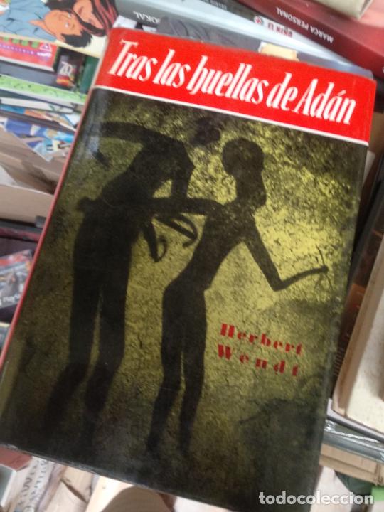 Libros de segunda mano: tras las huellas de ad&aacute;n - herbert wendt - editorial noguer - - Foto 1
